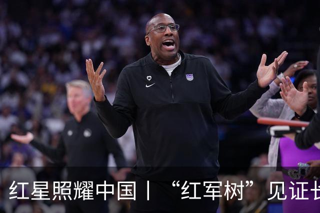 红星照耀中国丨“红军树”见证长征路
